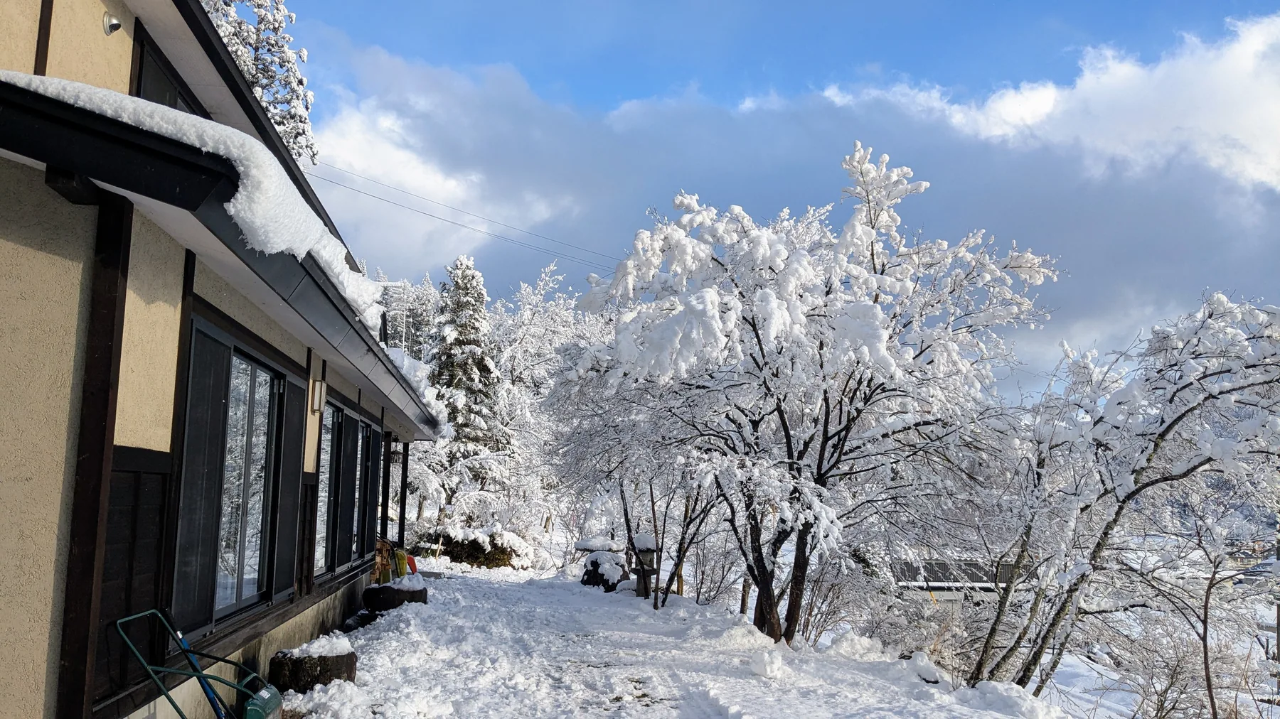 Snow-covered garden and winter landscape