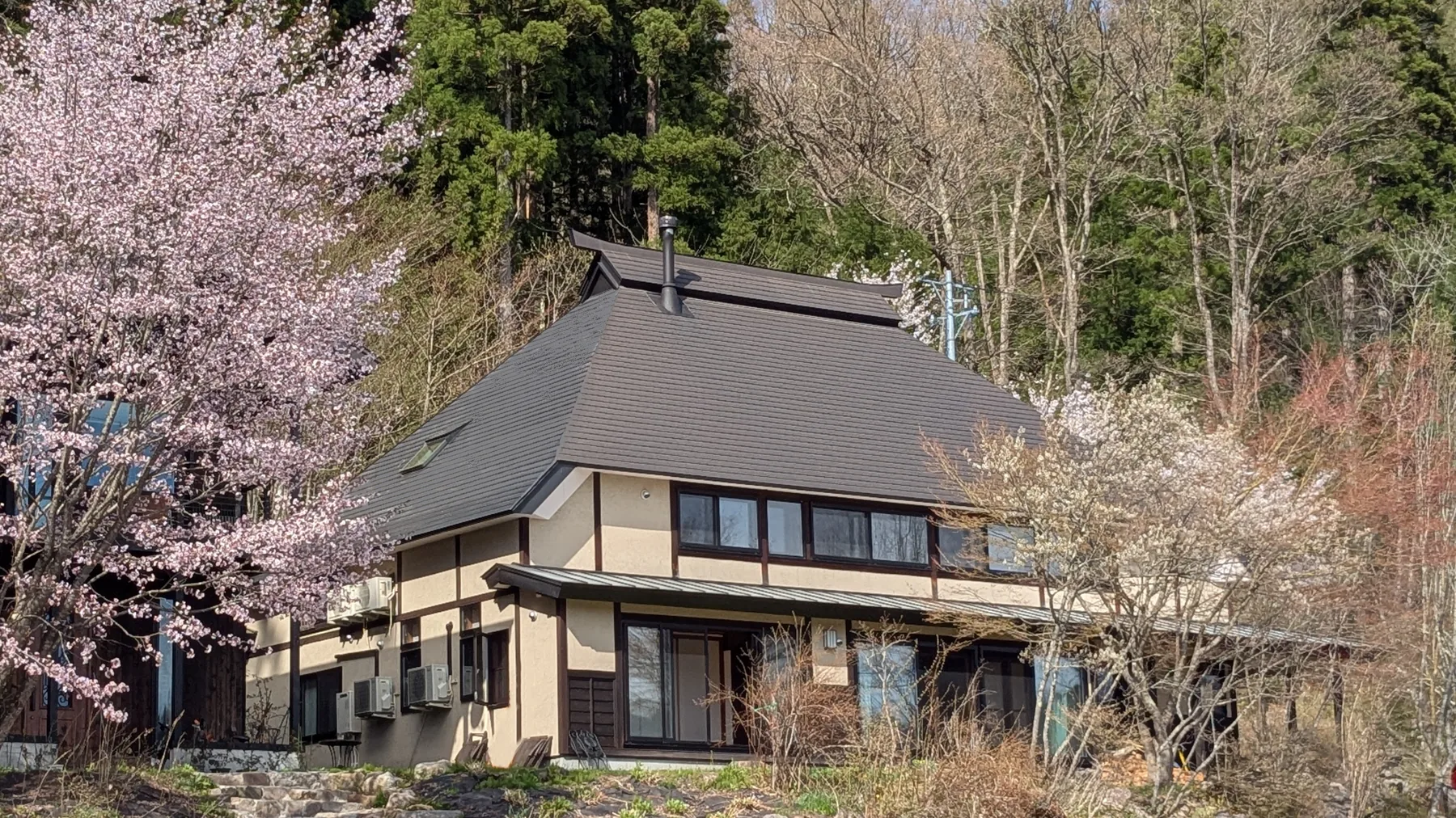 Rental Farmhouse Tamaki framed by spring cherry blossom
